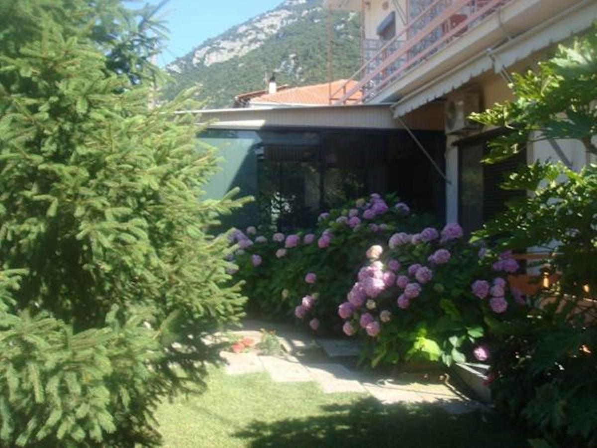 Dimitra Hotel Камена-Вурла Екстер'єр фото